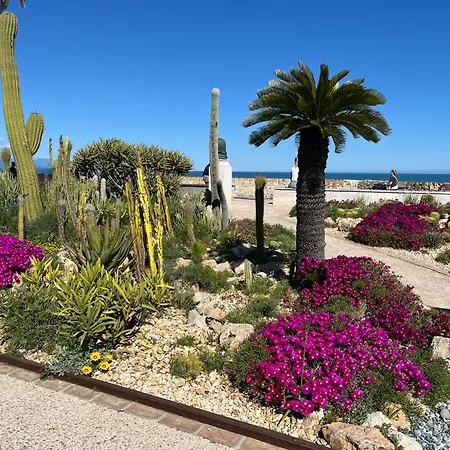 Authentic Old Duplex With Seaview Terrace Antibes
